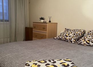 Сдача в аренду однокомнатной квартиры, 37 м2, Саратов, улица имени К.Г. Уфимцева, 4