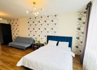 Сдается в аренду квартира студия, 40 м2, Екатеринбург, Союзная улица, 4