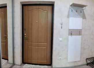 Сдача в аренду 1-ком. квартиры, 37 м2, Сочи, улица Яна Фабрициуса, 7
