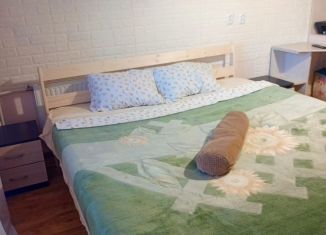 Сдам в аренду квартиру студию, 30 м2, Никольское, Первомайская улица, 13/1