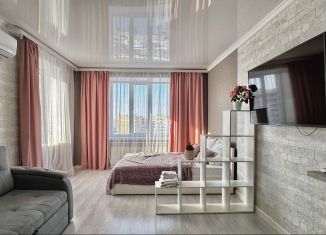 Сдается в аренду 1-ком. квартира, 40 м2, Оренбург, Салмышская улица, 67/4