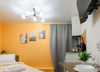 Сдаю в аренду квартиру студию, 10 м2, Санкт-Петербург, набережная реки Фонтанки, 189, метро Балтийская
