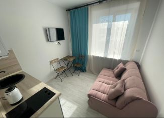Сдача в аренду 1-ком. квартиры, 25 м2, Москва, Строительный проезд, 2с1
