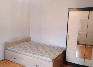 Сдам однокомнатную квартиру, 30 м2, Санкт-Петербург, улица Вавиловых, 10к1, Выборгский район