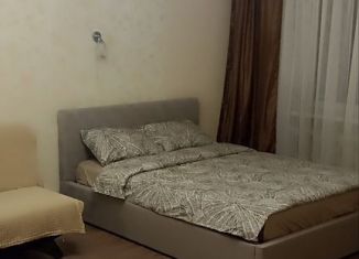 1-ком. квартира в аренду, 43 м2, Екатеринбург, улица Челюскинцев, 27, Железнодорожный район