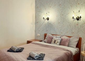 Аренда 1-комнатной квартиры, 50 м2, Санкт-Петербург, улица Ильюшина, 8, метро Комендантский проспект