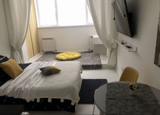 Сдается квартира студия, 23 м2, деревня Афонино, улица Красная Поляна, 7