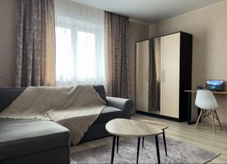 Однокомнатная квартира в аренду, 46.4 м2, Тюмень, улица Энергостроителей, ЖК Вершины