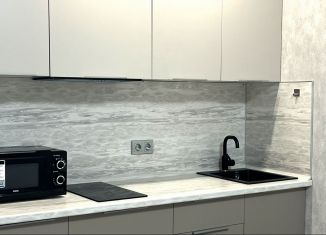 Квартира в аренду студия, 25.5 м2, Мурино, проспект Авиаторов Балтики, 29к2