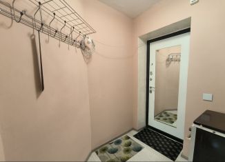 Сдача в аренду 1-комнатной квартиры, 32 м2, Йошкар-Ола, улица Лебедева, 53В, микрорайон Нагорный