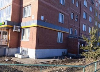 Сдам однокомнатную квартиру, 39 м2, Новосибирская область, Спортивная улица, 13