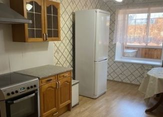 1-ком. квартира в аренду, 50 м2, Екатеринбург, Бисертская улица, 29, Чкаловский район