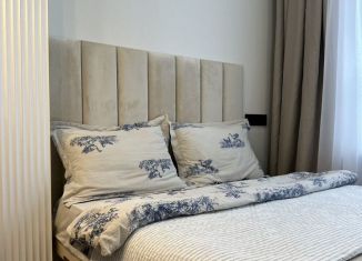 Сдам в аренду квартиру студию, 27 м2, Республика Башкортостан, улица Рудольфа Нуреева, 7