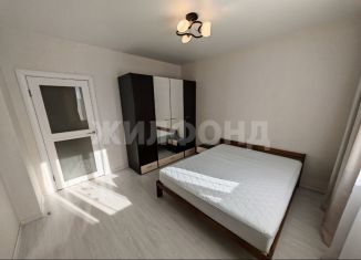 Сдам в аренду трехкомнатную квартиру, 70 м2, Новосибирск, улица Державина, 92/3, Центральный район