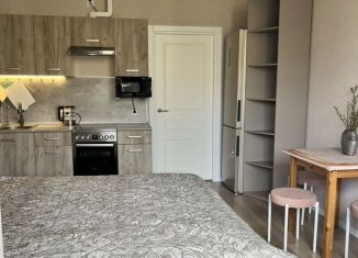 Сдаю в аренду квартиру студию, 23 м2, посёлок Стрельна, проспект Будённого, 24к5