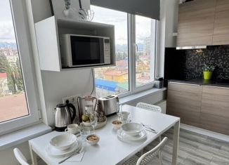 Сдам в аренду квартиру студию, 45 м2, Сочи, Гвардейская улица, 34, микрорайон Центральный