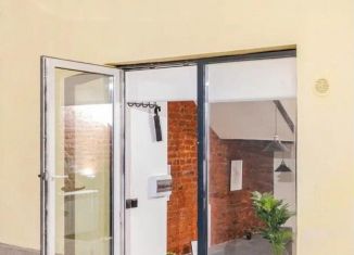 Продается помещение свободного назначения, 17 м2, Санкт-Петербург, Кронверкская улица, 17/1, муниципальный округ Кронверкское