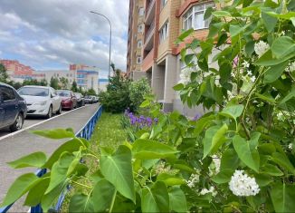 Сдам в аренду 1-комнатную квартиру, 45 м2, Оренбург, Салмышская улица, 43А