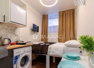 Продается квартира студия, 10 м2, Санкт-Петербург, улица Чехова, 9, Центральный район