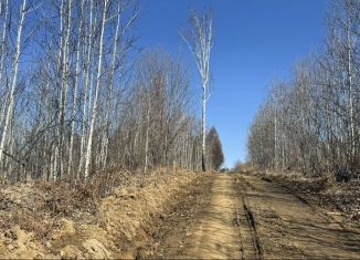 Продается участок, 16.2 сот., деревня Новолисиха, улица Надежды
