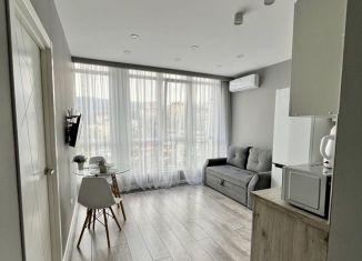 Сдаю в аренду 2-комнатную квартиру, 36.2 м2, Сочи, Пластунская улица, 123Ак1, ЖК Раз.Два.Три!