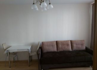 Сдам в аренду 1-ком. квартиру, 36.1 м2, Пушкин, улица Архитектора Данини, 23к1