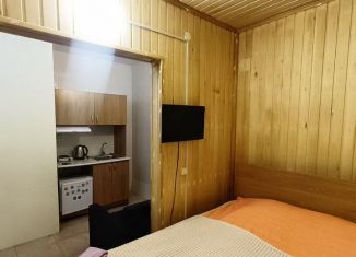 Сдам в аренду квартиру студию, 20 м2, Нижегородская область, деревня Кузнечиха, 161И