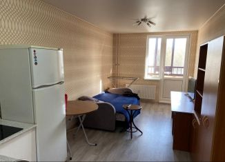 Квартира на продажу студия, 23 м2, Ломоносов, Михайловская улица, 5