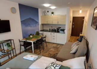 Продам квартиру студию, 25.3 м2, Санкт-Петербург, Кубинская улица, 82к3с1, метро Московская