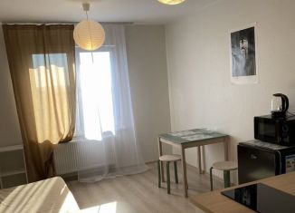 Сдача в аренду квартиры студии, 22 м2, Екатеринбург, Латвийская улица, 58/2, ЖК Хрустальные Ключи