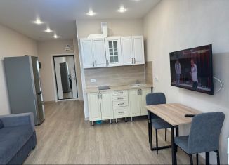 Сдается в аренду квартира студия, 28 м2, Хабаровский край, улица Редько, 12