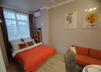 Сдается в аренду 1-комнатная квартира, 35 м2, Сочи, Изумрудная улица, 38