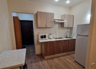 Сдается в аренду квартира студия, 22 м2, Санкт-Петербург, улица Маршала Тухачевского, 23, улица Маршала Тухачевского