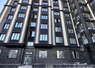 Продаю квартиру студию, 45 м2, Нальчик, Кабардинская улица, 75, район Колонка