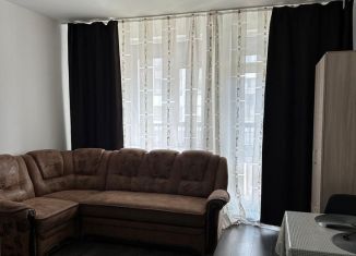 Сдается квартира студия, 25 м2, Санкт-Петербург, проспект Ветеранов, метро Проспект Ветеранов