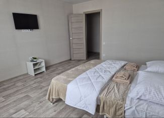 Сдается в аренду 2-комнатная квартира, 70 м2, Тамбовская область, Кавказская улица