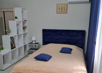 Сдается в аренду квартира студия, 28 м2, Ростов-на-Дону, улица Ерёменко, 114, ЖК Пятый Элемент