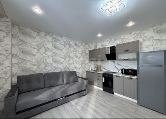 Сдача в аренду квартиры студии, 27 м2, Тюмень, улица Константина Посьета, 4к1, ЖК Пятый квартал