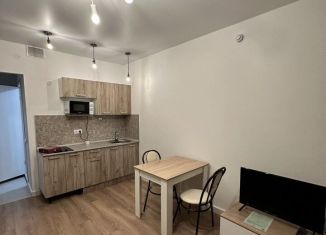 Сдается квартира студия, 21.5 м2, Москва, Амурская улица, 2Ак3, район Гольяново