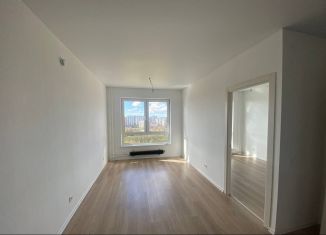 1-ком. квартира в аренду, 32.5 м2, деревня Новое Девяткино, Главная улица, 10