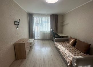 Сдаю в аренду 1-ком. квартиру, 33 м2, Гатчина, улица Академика Константинова, 4