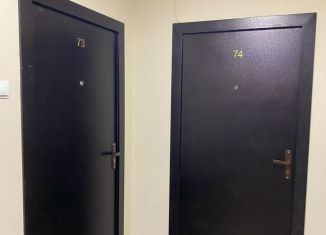 Квартира в аренду студия, 26.8 м2, Карелия, Боровая улица, 46