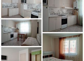 1-комнатная квартира на продажу, 44.6 м2, деревня Куюки, 13-й квартал, 4