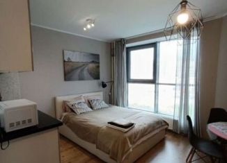 Продаю квартиру студию, 26 м2, посёлок Парголово, Толубеевский проезд