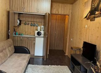 Аренда таунхауса, 30 м2, Саратовская область, улица Ассамблея