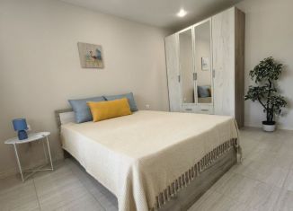 Сдача в аренду однокомнатной квартиры, 30 м2, Сочи, улица Мира, 5, микрорайон Центральный