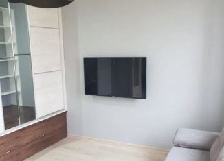 Продажа квартиры студии, 26.7 м2, Сертолово, ЖК Новое Сертолово, улица Мира, 7к2