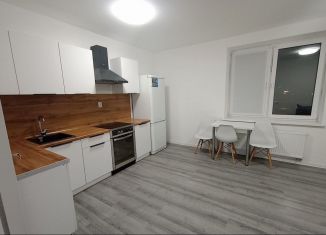 Продам 1-комнатную квартиру, 40.6 м2, Санкт-Петербург, Русановская улица, 28, метро Рыбацкое