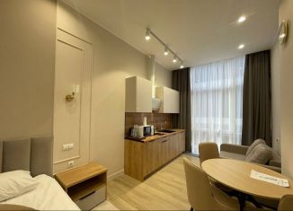 Продажа квартиры студии, 30 м2, Сочи, Навагинская улица, 11, микрорайон Центральный