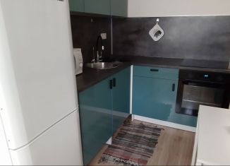 Сдача в аренду однокомнатной квартиры, 38 м2, Мурино, улица Шоссе в Лаврики, 68к1